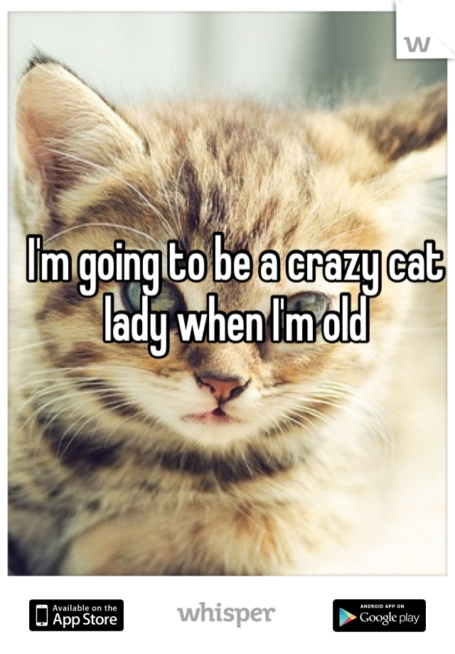I'm going to be a crazy cat lady when I'm old