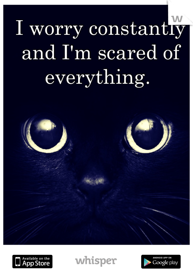 I worry constantly and I'm scared of everything. 