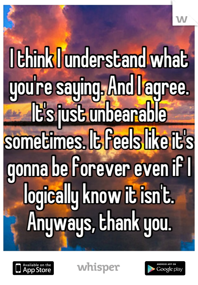 I think I understand what you're saying. And I agree. It's just unbearable sometimes. It feels like it's gonna be forever even if I logically know it isn't. Anyways, thank you.