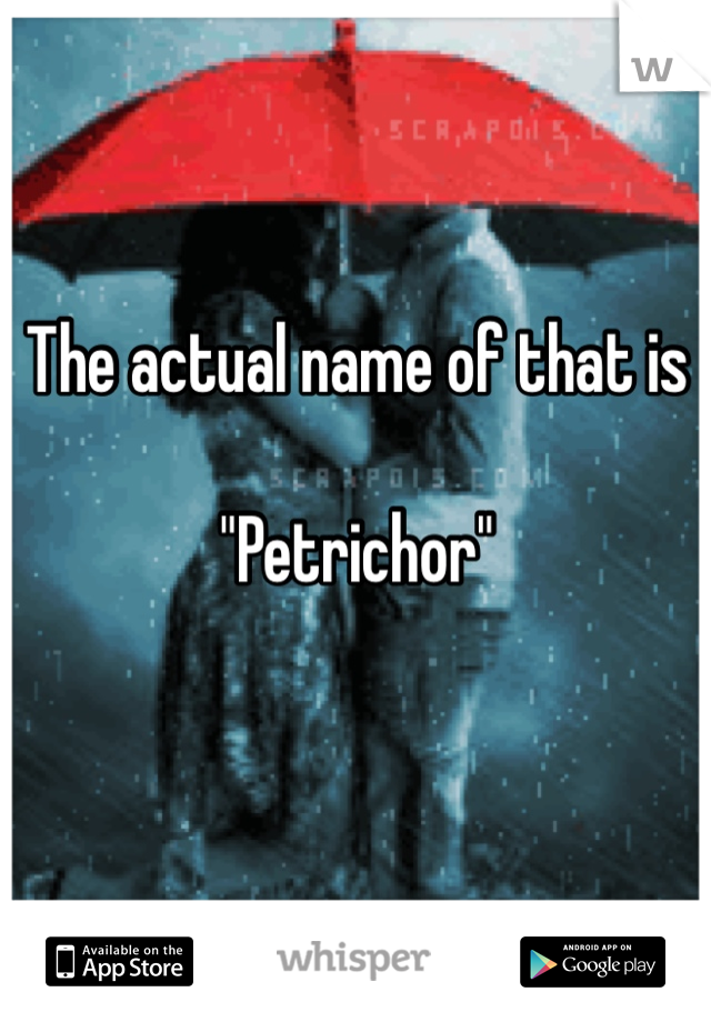 The actual name of that is 

"Petrichor"

