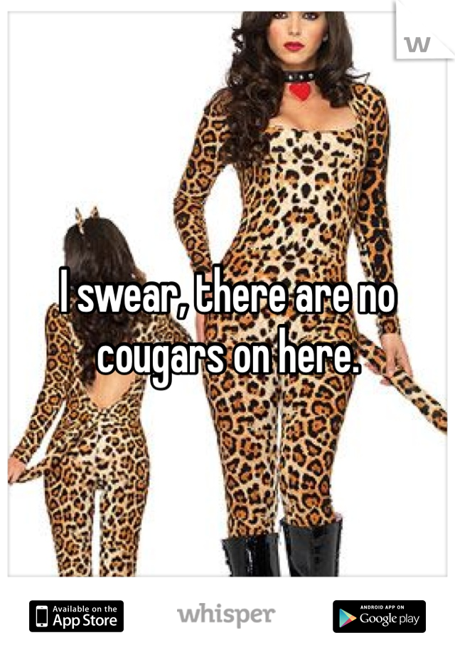 I swear, there are no cougars on here.