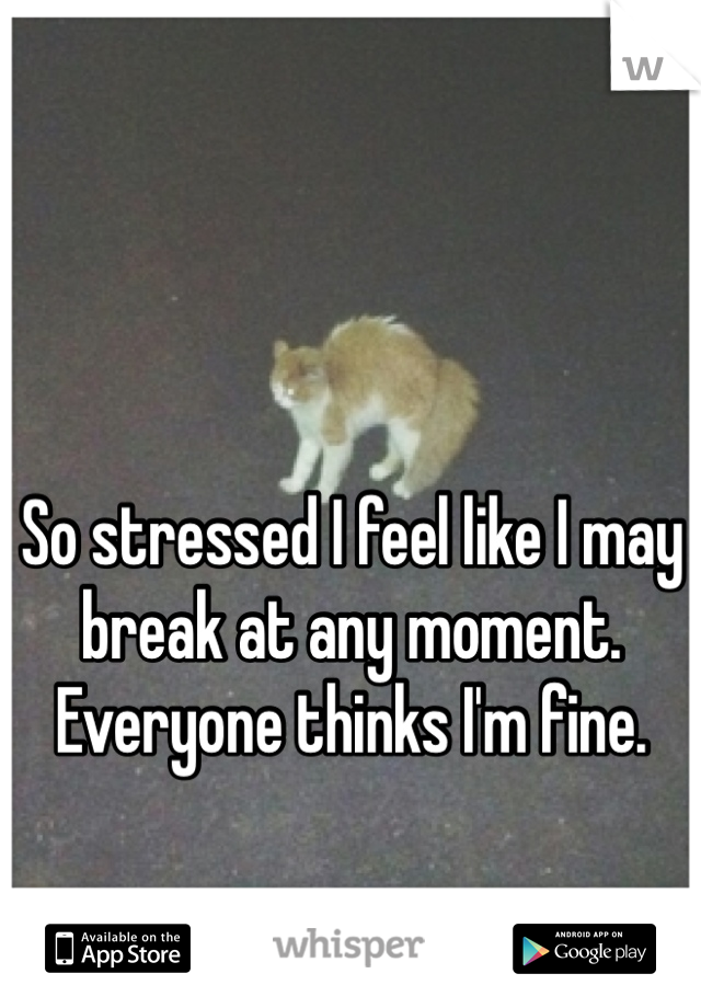 So stressed I feel like I may break at any moment.  Everyone thinks I'm fine.
