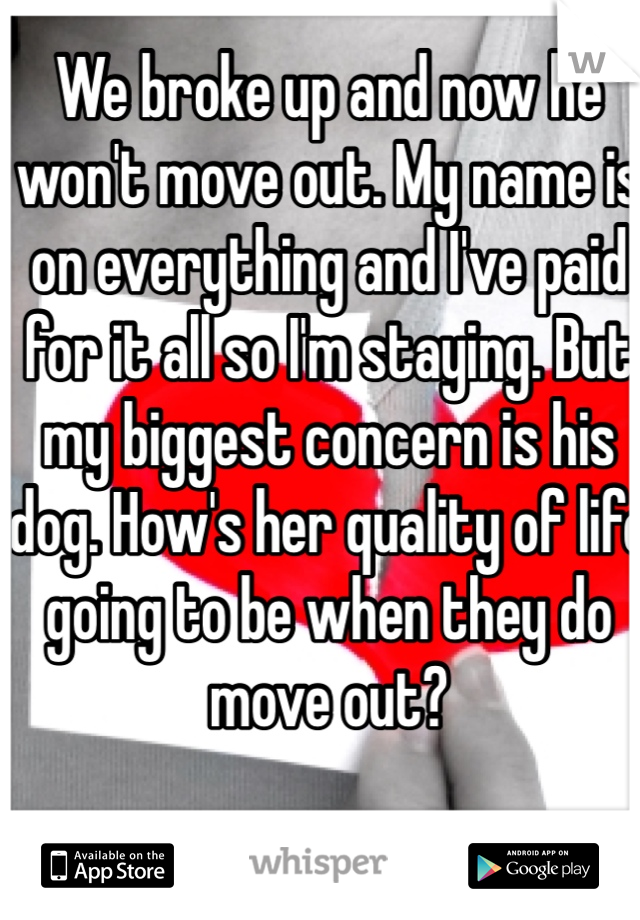We broke up and now he won't move out. My name is on everything and I've paid for it all so I'm staying. But my biggest concern is his dog. How's her quality of life going to be when they do move out?