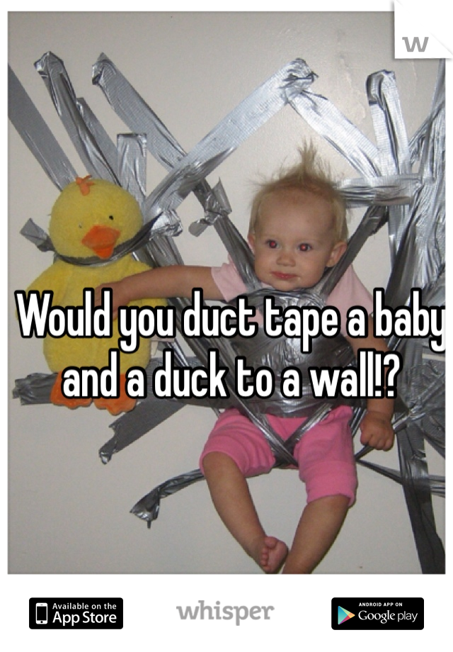 Would you duct tape a baby and a duck to a wall!?