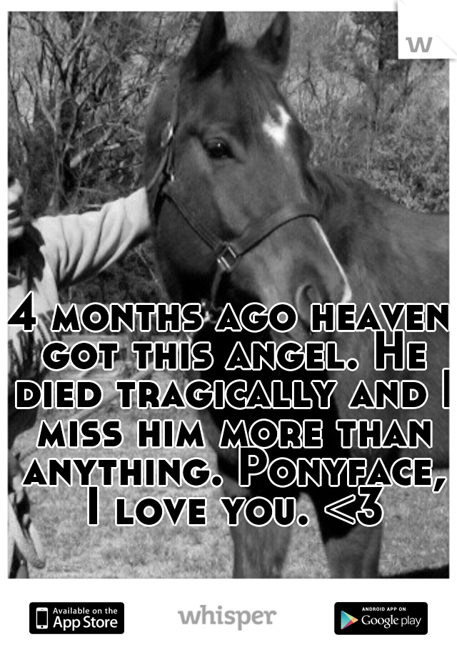 


















































































4 months ago heaven got this angel. He died tragically and I miss him more than anything. Ponyface, I love you. <3