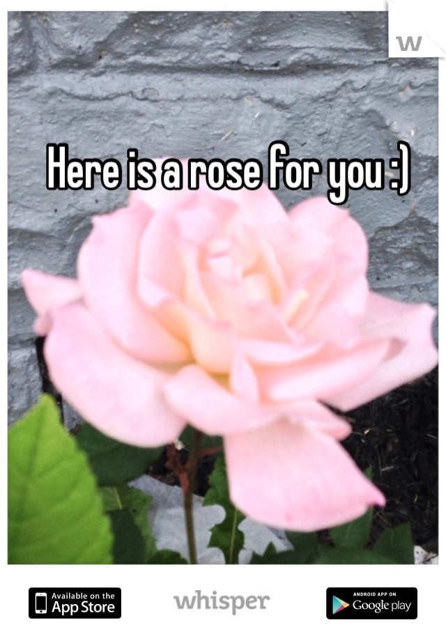 Here is a rose for you :)