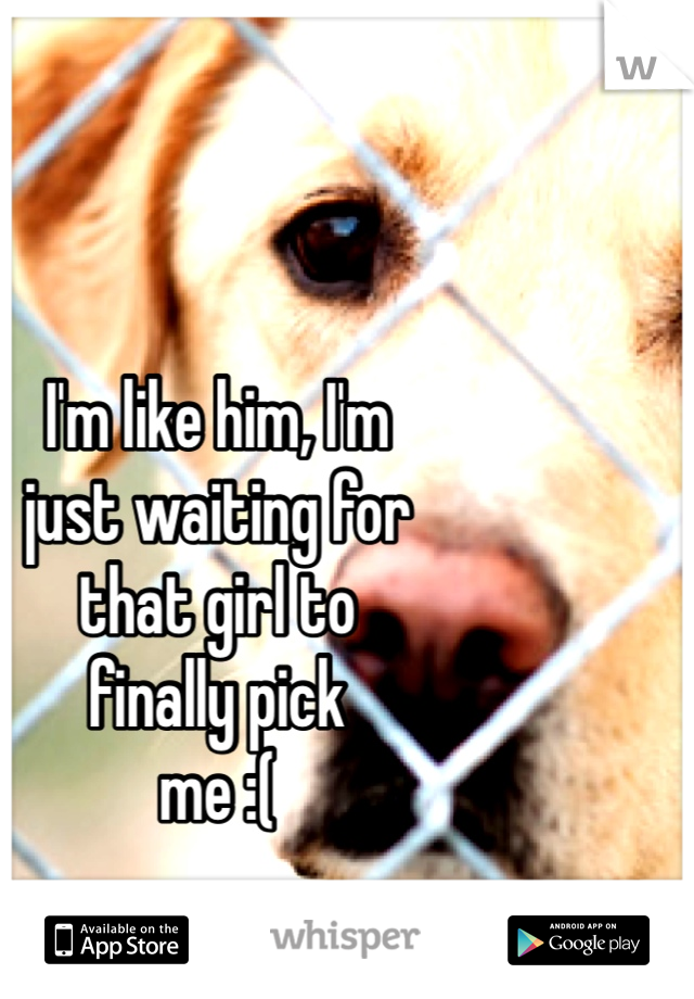 I'm like him, I'm 
just waiting for
that girl to
finally pick
me :(
