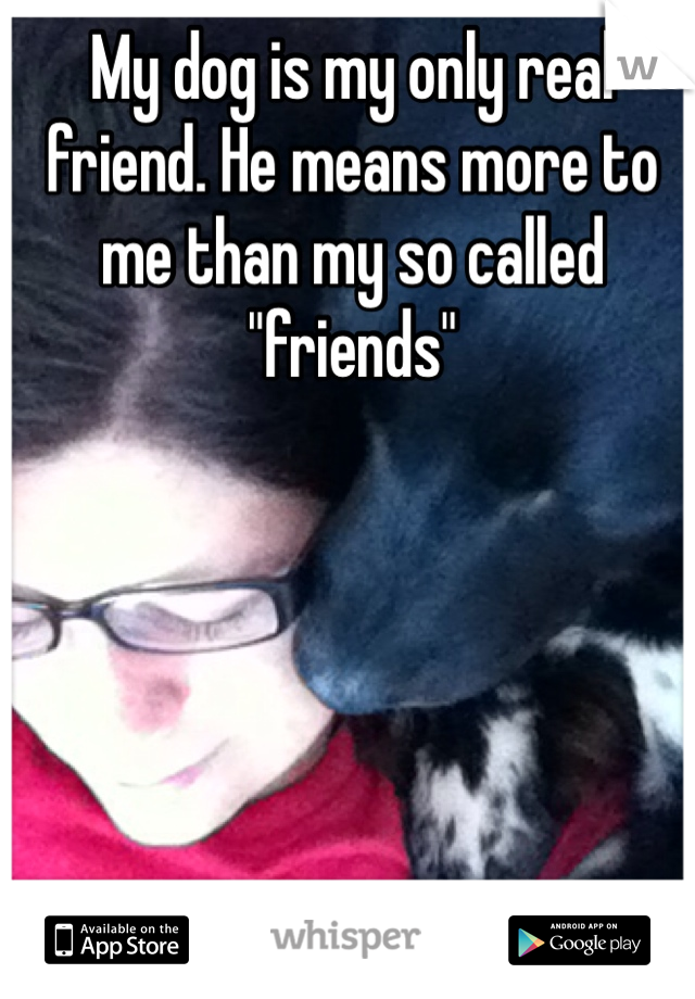 My dog is my only real friend. He means more to me than my so called "friends"