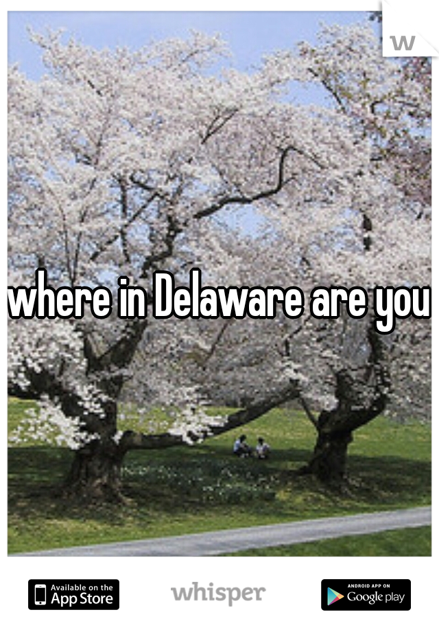 where in Delaware are you