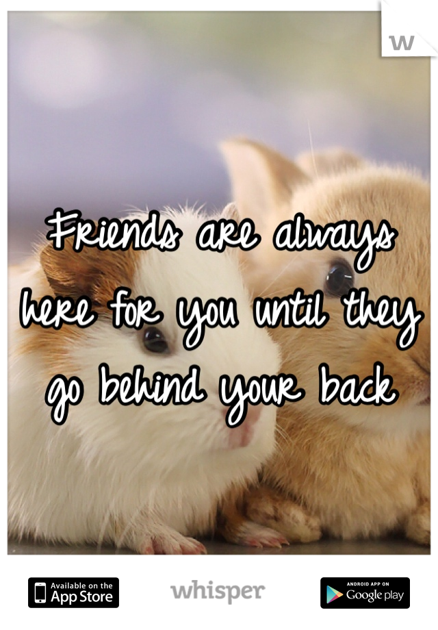 Friends are always here for you until they go behind your back 