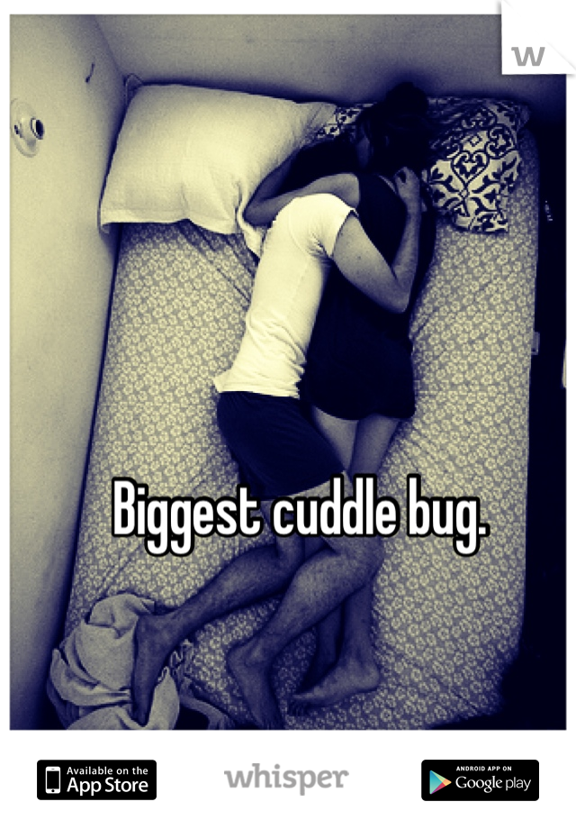 Biggest cuddle bug. 