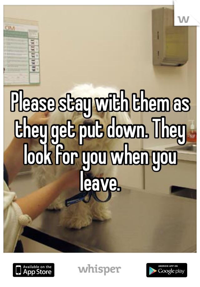 Please stay with them as they get put down. They look for you when you leave. 