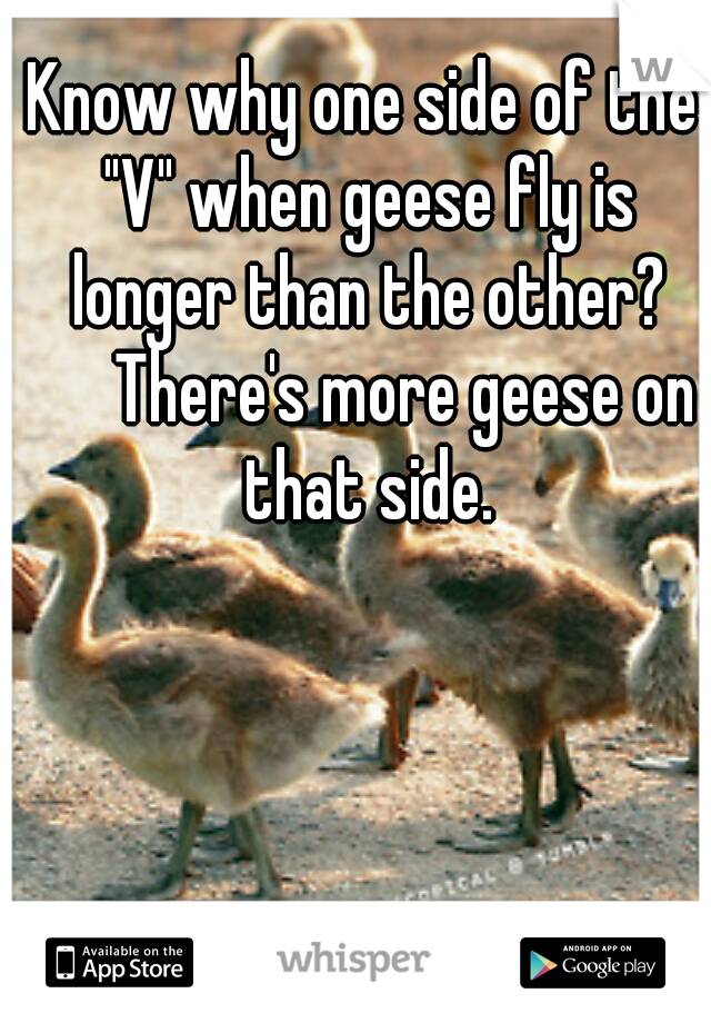 Know why one side of the "V" when geese fly is longer than the other? 

There's more geese on that side.