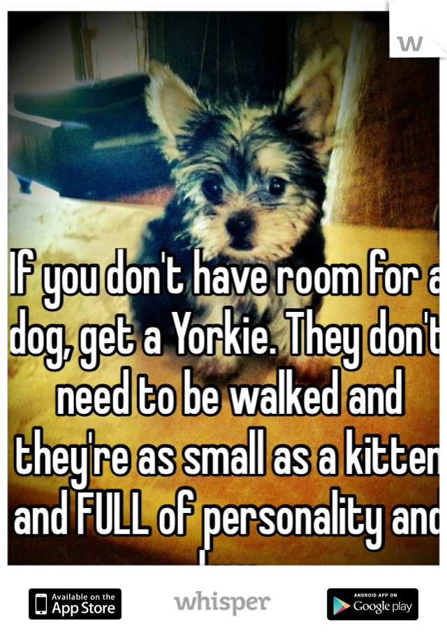 If you don't have room for a dog, get a Yorkie. They don't need to be walked and they're as small as a kitten and FULL of personality and love 