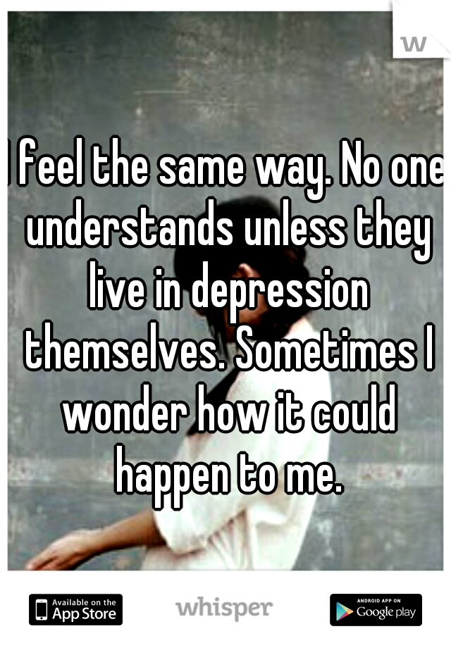 I feel the same way. No one understands unless they live in depression themselves. Sometimes I wonder how it could happen to me.