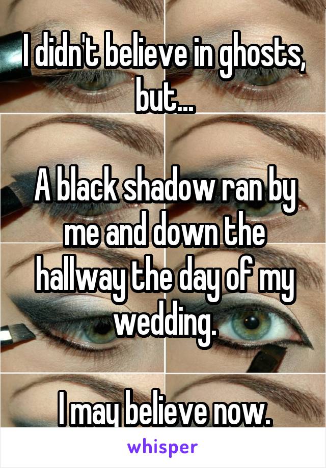 I didn't believe in ghosts, but...

A black shadow ran by me and down the hallway the day of my wedding.

I may believe now.