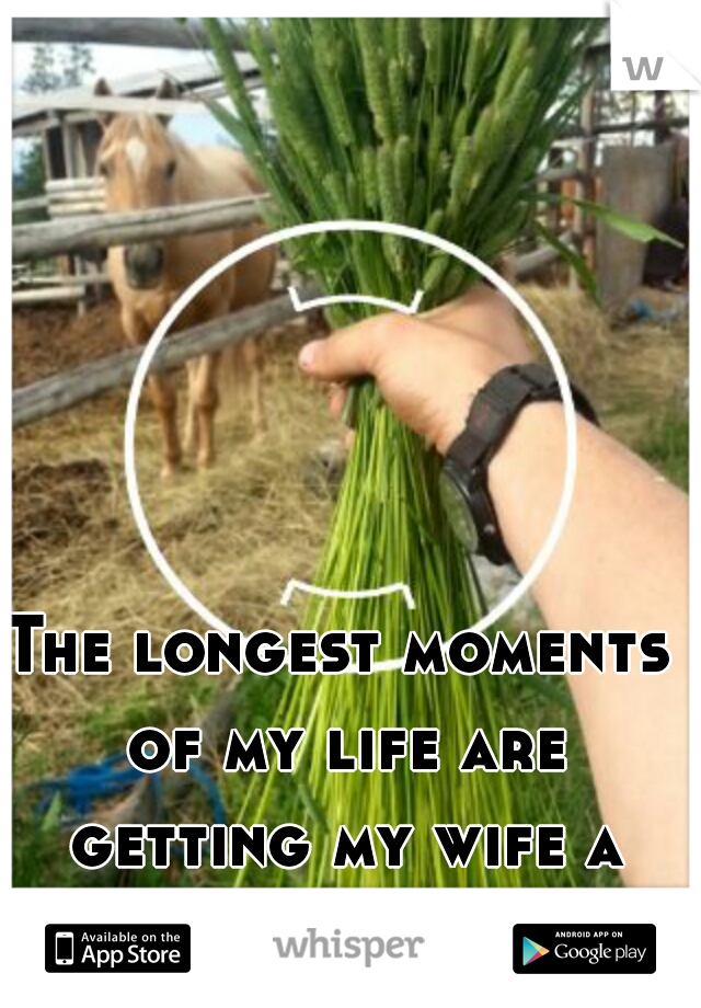 The longest moments of my life are getting my wife a bundle of grass. 