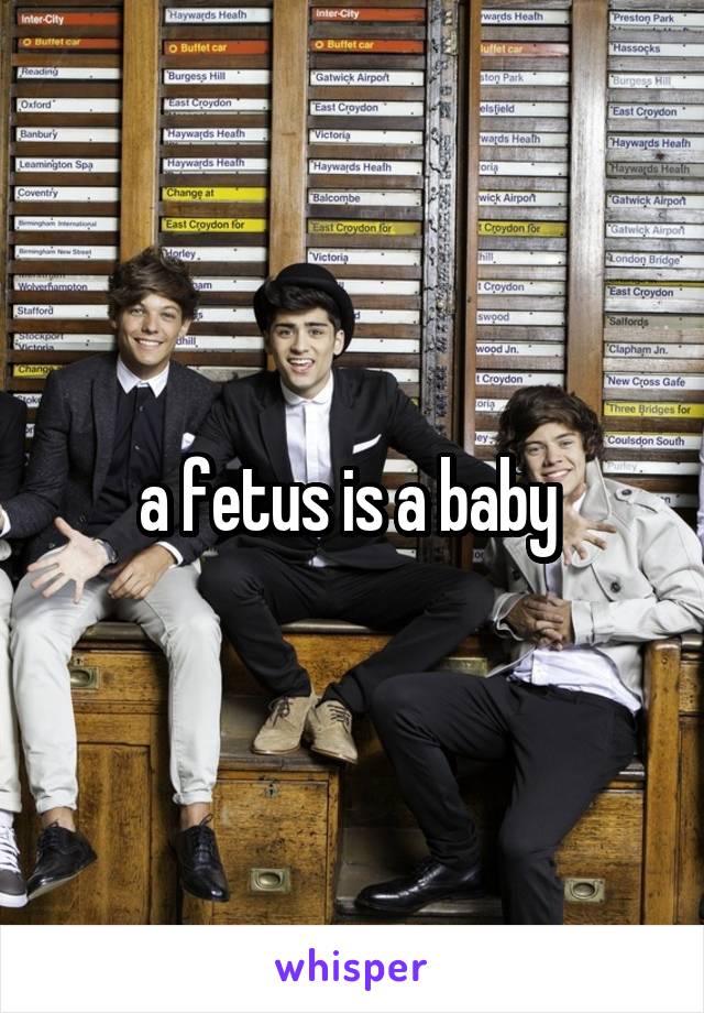 a fetus is a baby 