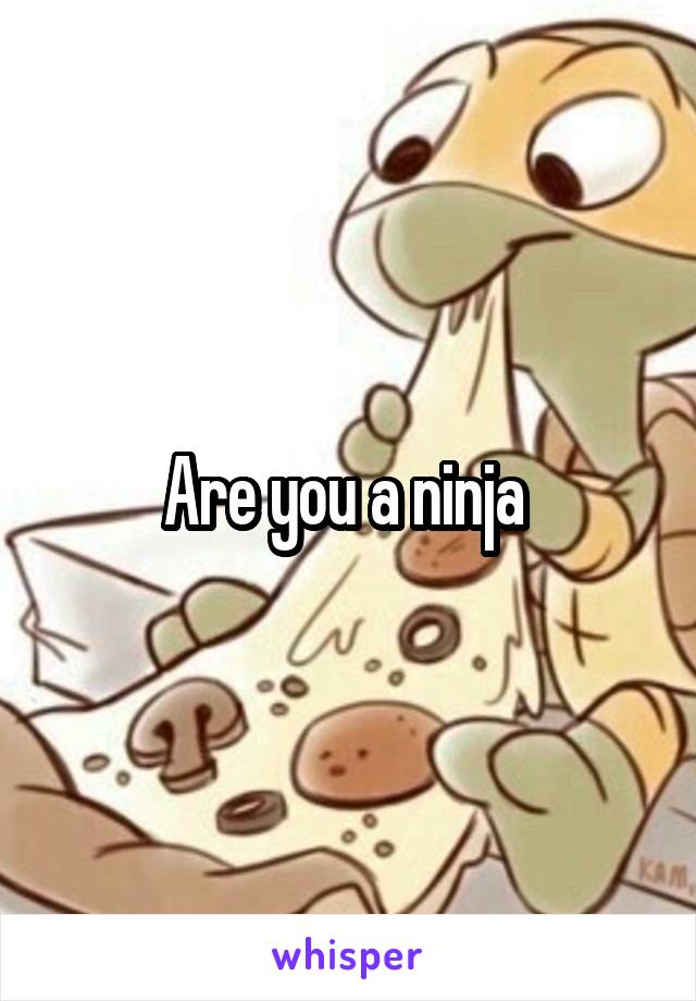 Are you a ninja 