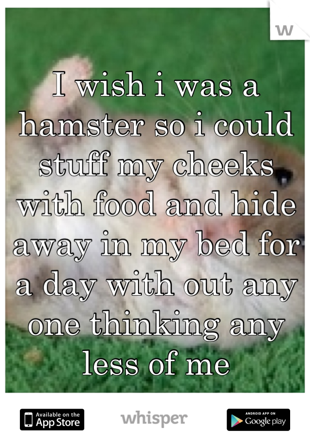 I wish i was a hamster so i could stuff my cheeks with food and hide away in my bed for a day with out any one thinking any less of me  