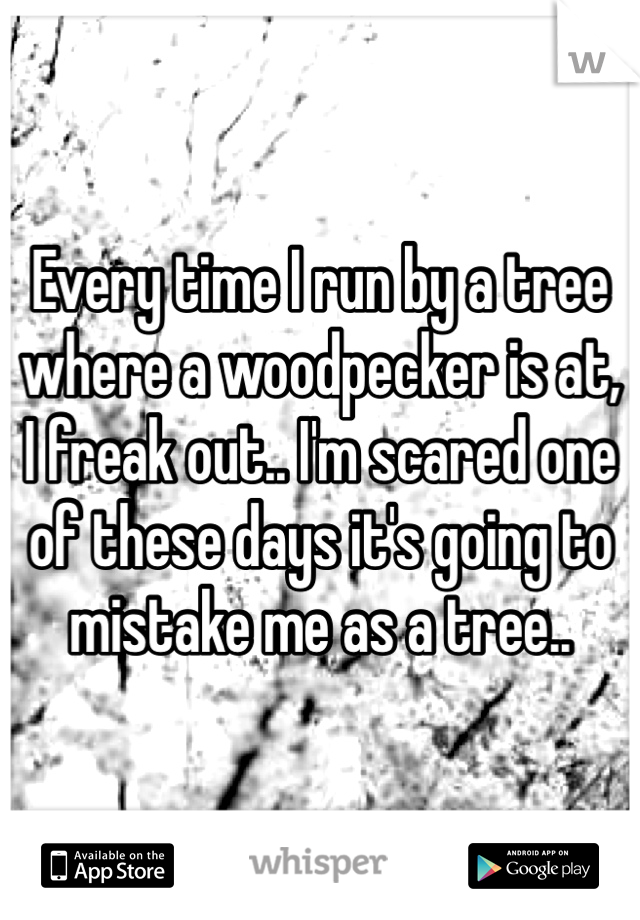 Every time I run by a tree where a woodpecker is at, I freak out.. I'm scared one of these days it's going to mistake me as a tree.. 