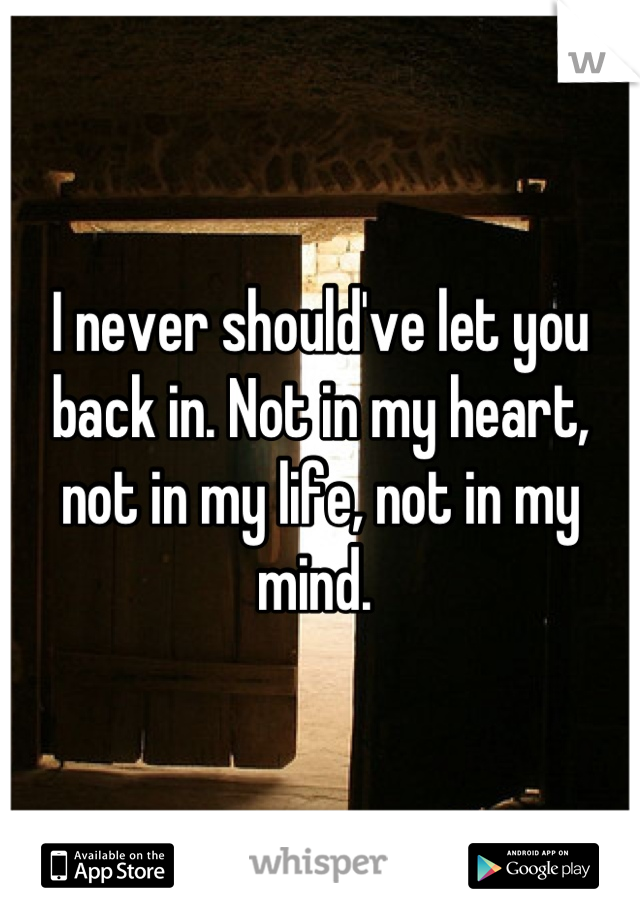 I never should've let you back in. Not in my heart, not in my life, not in my mind. 