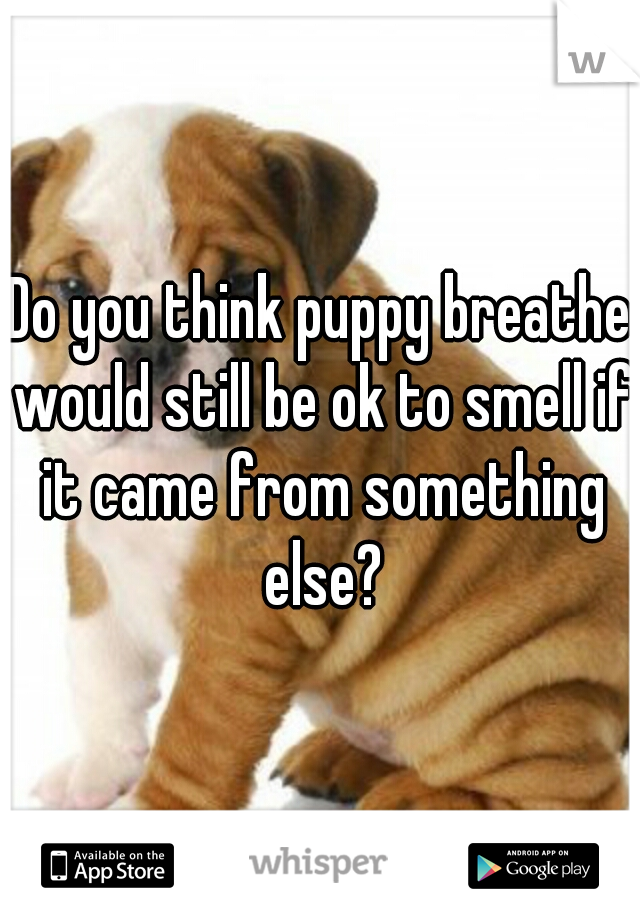 Do you think puppy breathe would still be ok to smell if it came from something else?