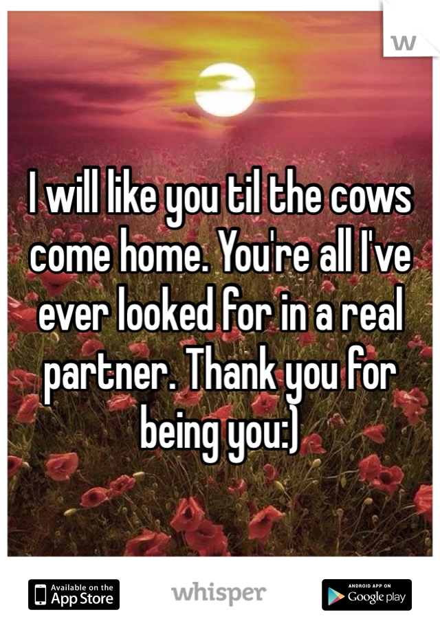 I will like you til the cows come home. You're all I've ever looked for in a real partner. Thank you for being you:)