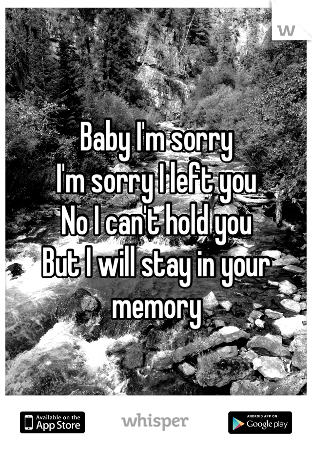 Baby I'm sorry 
I'm sorry I left you
No I can't hold you 
But I will stay in your memory
