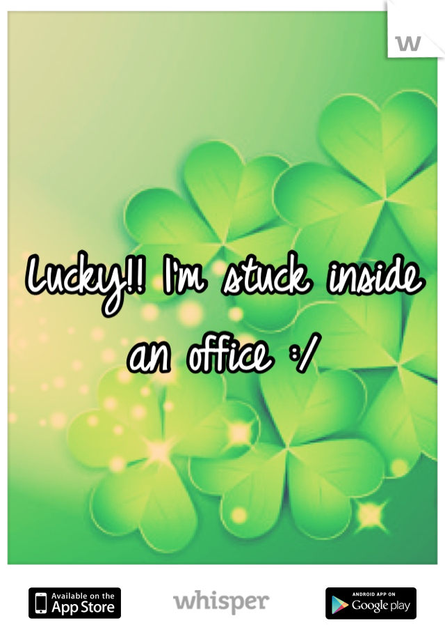 Lucky!! I'm stuck inside an office :/ 