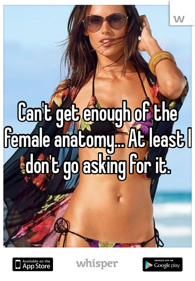 Can't get enough of the female anatomy... At least I don't go asking for it.