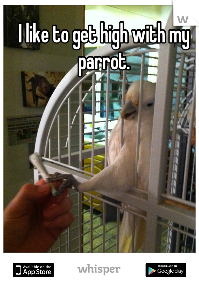 I like to get high with my parrot.