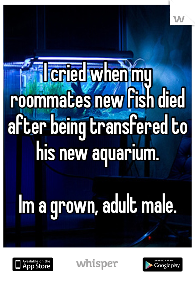 I cried when my roommates new fish died after being transfered to his new aquarium.  

Im a grown, adult male. 