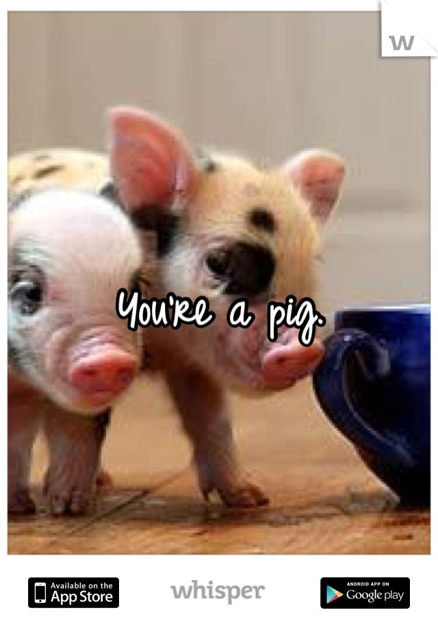 You're a pig. 