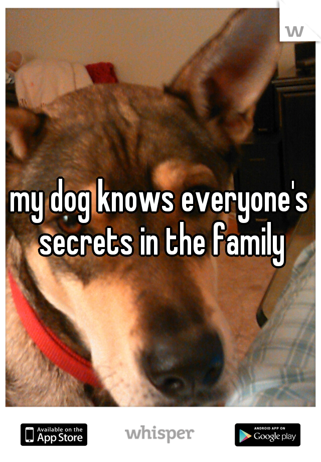 my dog knows everyone's secrets in the family