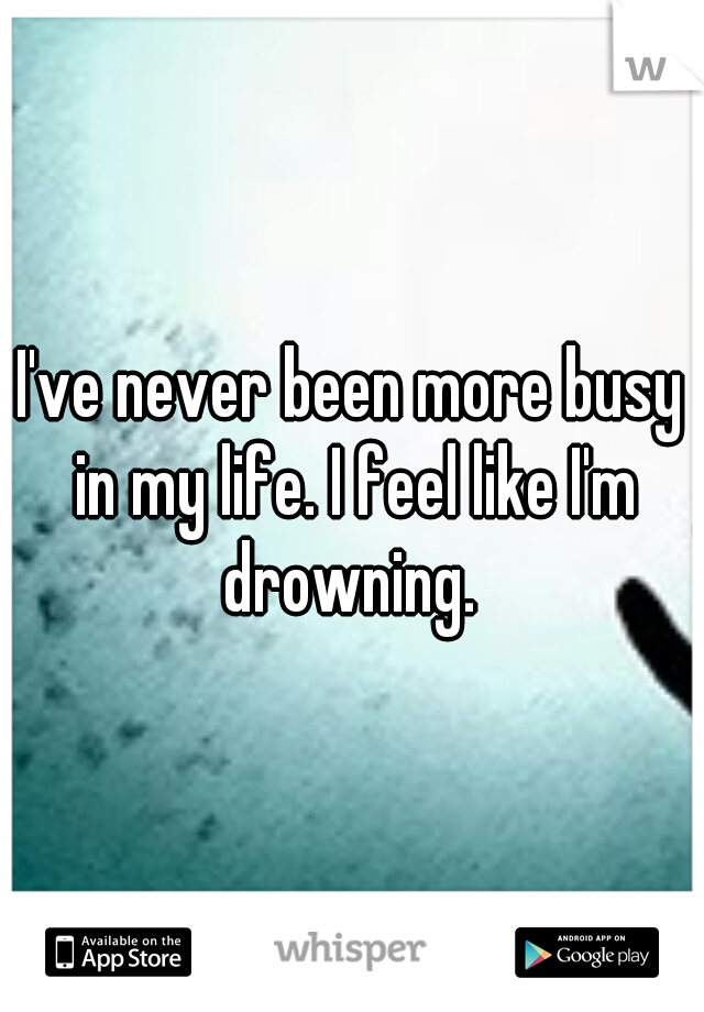 I've never been more busy in my life. I feel like I'm drowning. 
