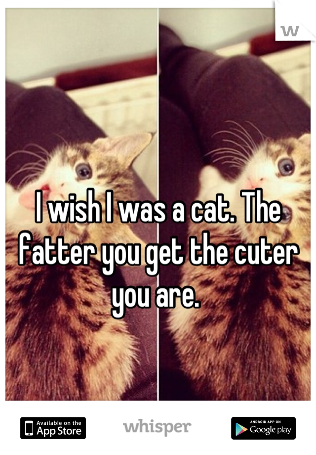 I wish I was a cat. The fatter you get the cuter you are. 
