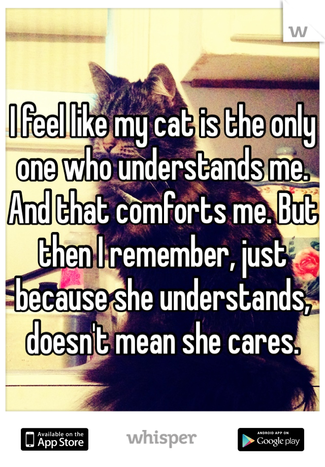 I feel like my cat is the only one who understands me. And that comforts me. But then I remember, just because she understands, doesn't mean she cares.