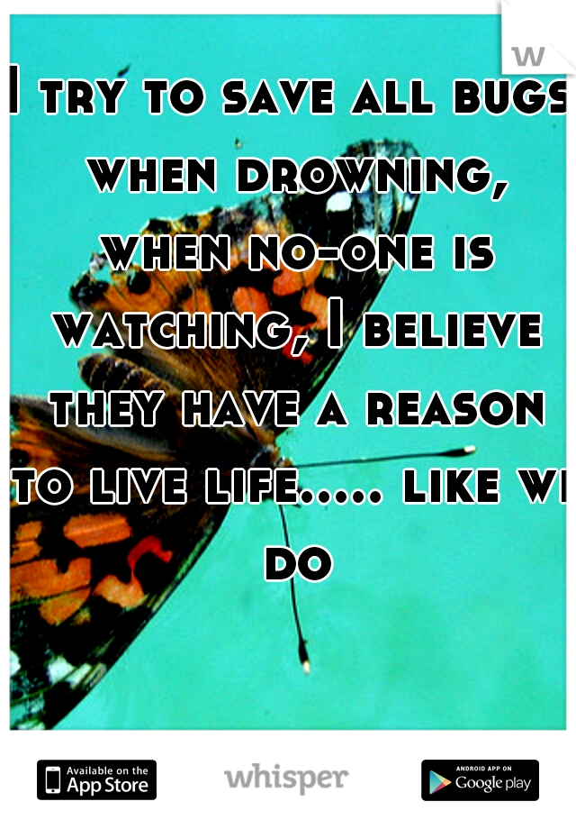 I try to save all bugs when drowning, when no-one is watching, I believe they have a reason to live life..... like we do