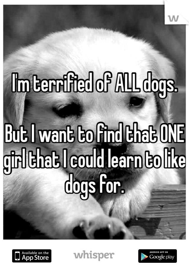 I'm terrified of ALL dogs. 

But I want to find that ONE girl that I could learn to like dogs for.