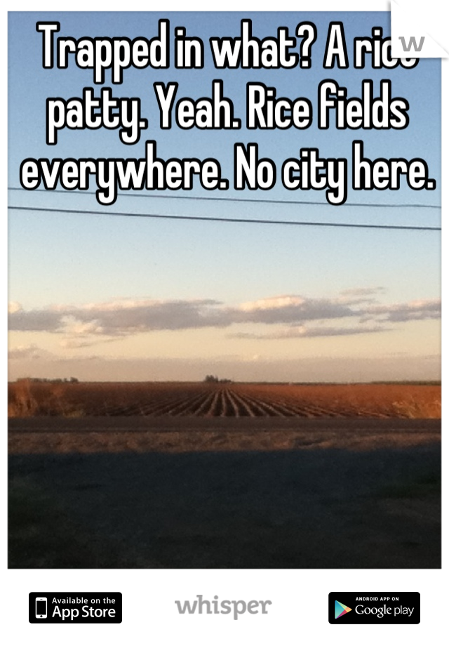 Trapped in what? A rice patty. Yeah. Rice fields everywhere. No city here.