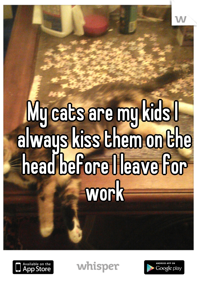 My cats are my kids I always kiss them on the head before I leave for work