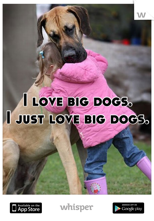 I love big dogs.
I just love big dogs.