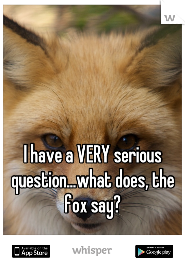 I have a VERY serious question...what does, the fox say?
