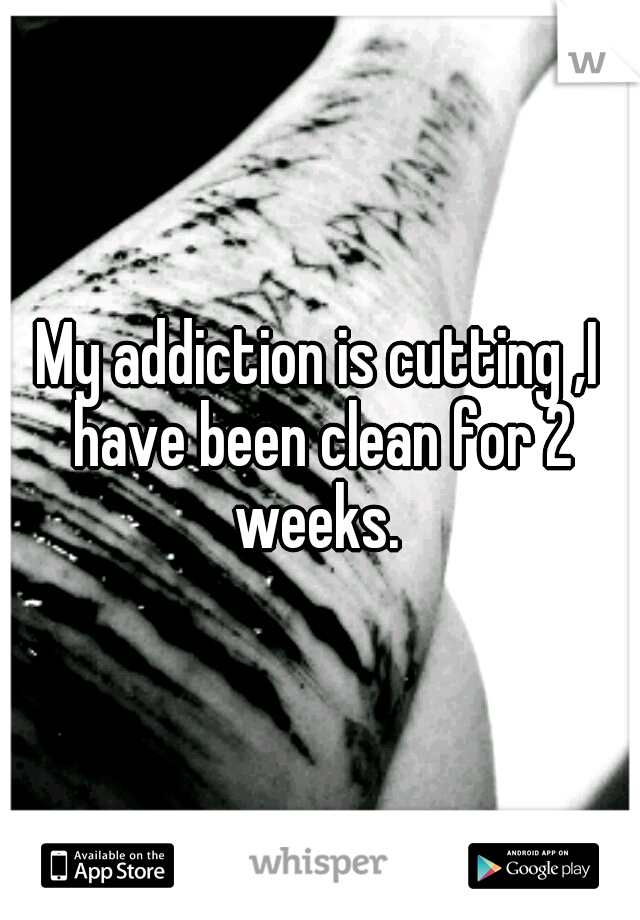 My addiction is cutting ,I have been clean for 2 weeks. 