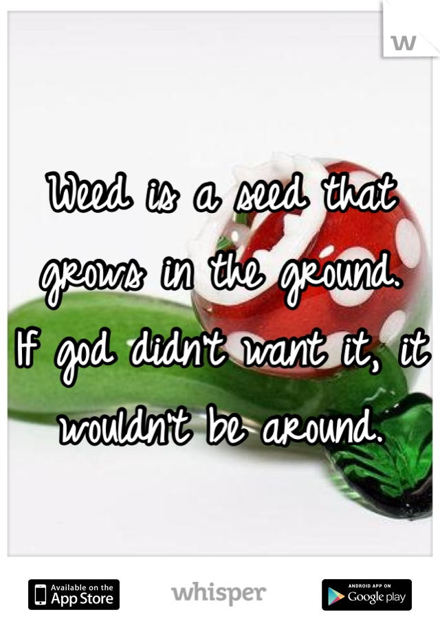 Weed is a seed that grows in the ground.
If god didn't want it, it wouldn't be around. 