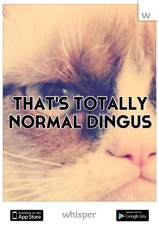 THAT'S TOTALLY NORMAL DINGUS