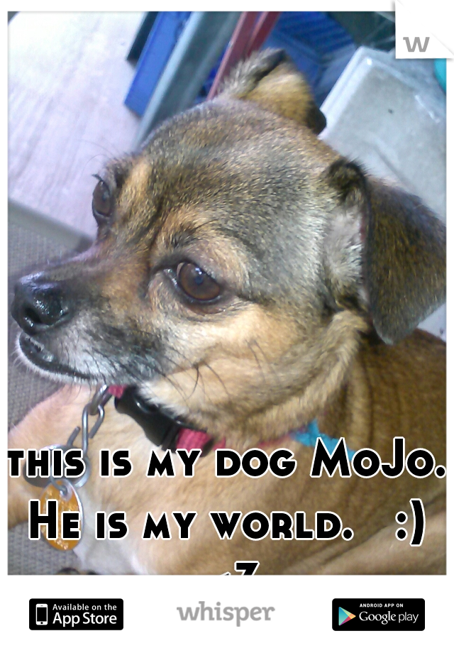 this is my dog MoJo. He is my world.   :)  <3