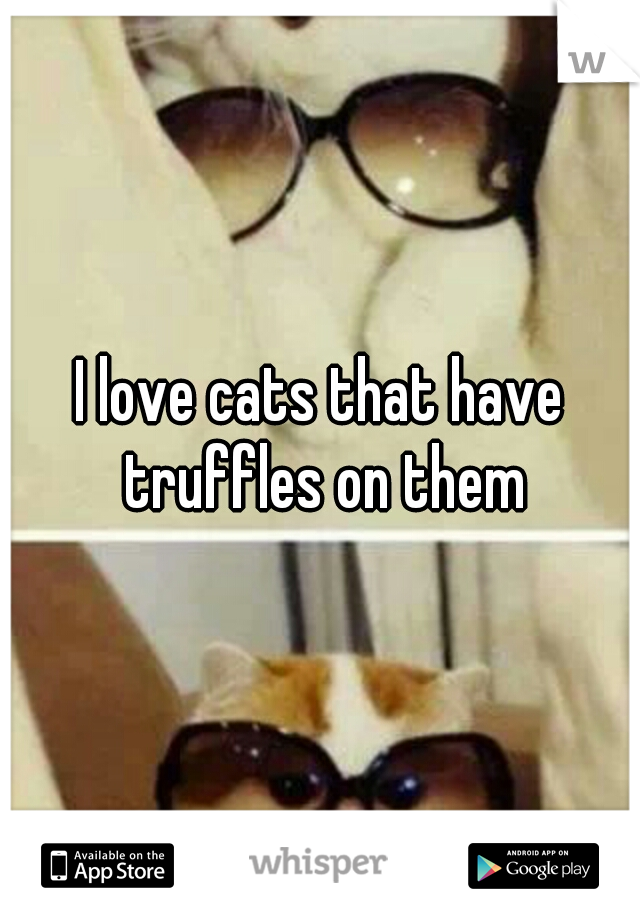 I love cats that have truffles on them