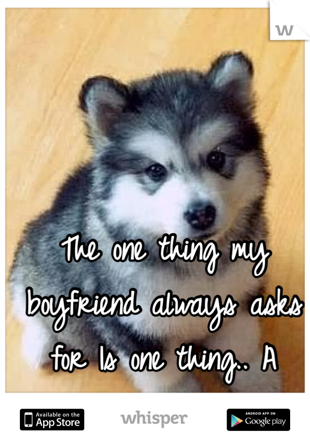 The one thing my boyfriend always asks for Is one thing.. A husky 🐾